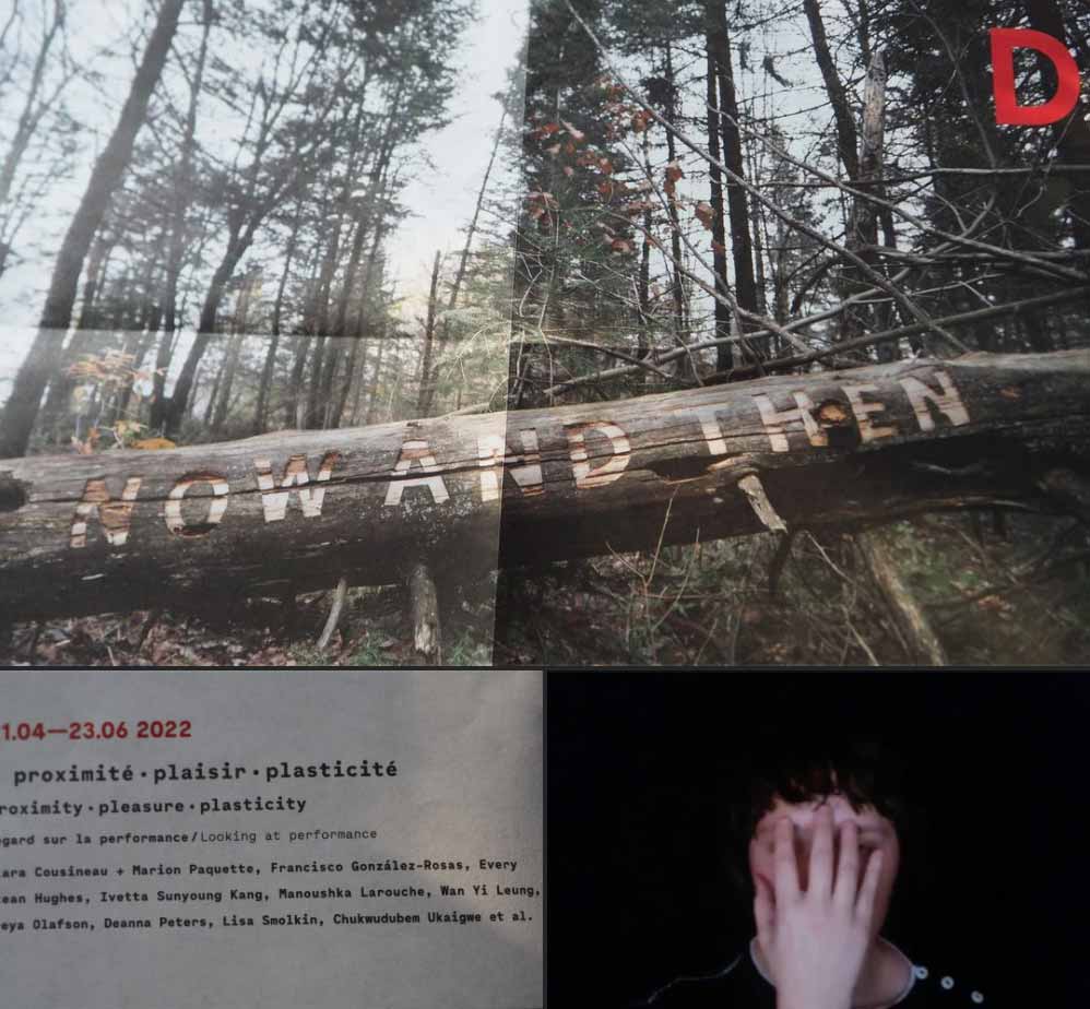 pics of the Dazibao season flyer and screenshot of me, DP